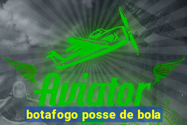 botafogo posse de bola